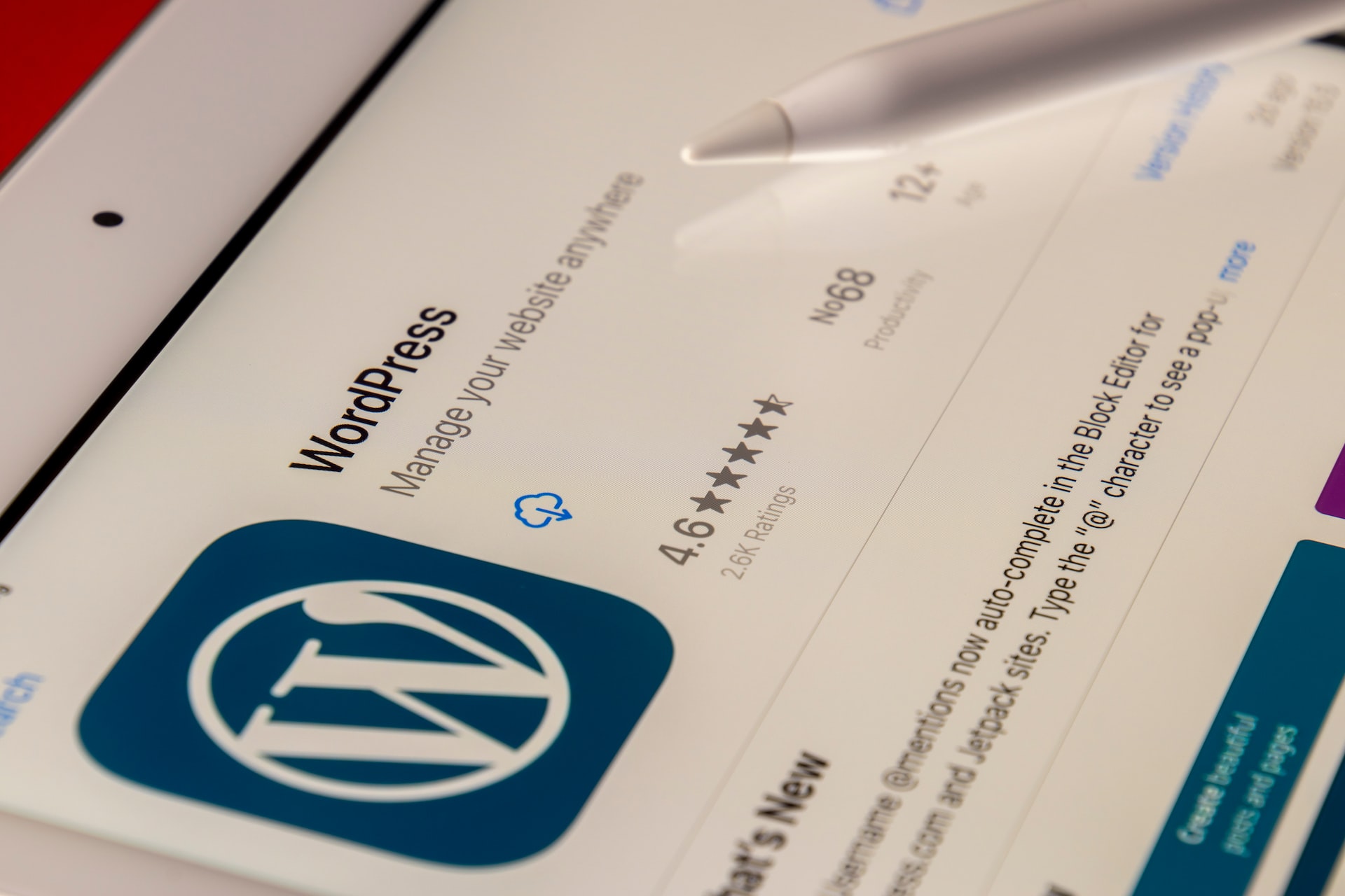 wordpress web development